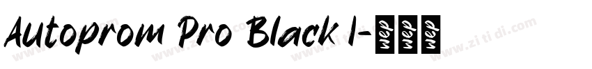 Autoprom Pro Black I字体转换